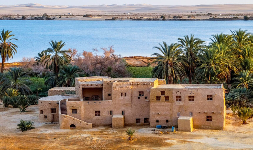 افضل رحلات مدينة سيوة 2023