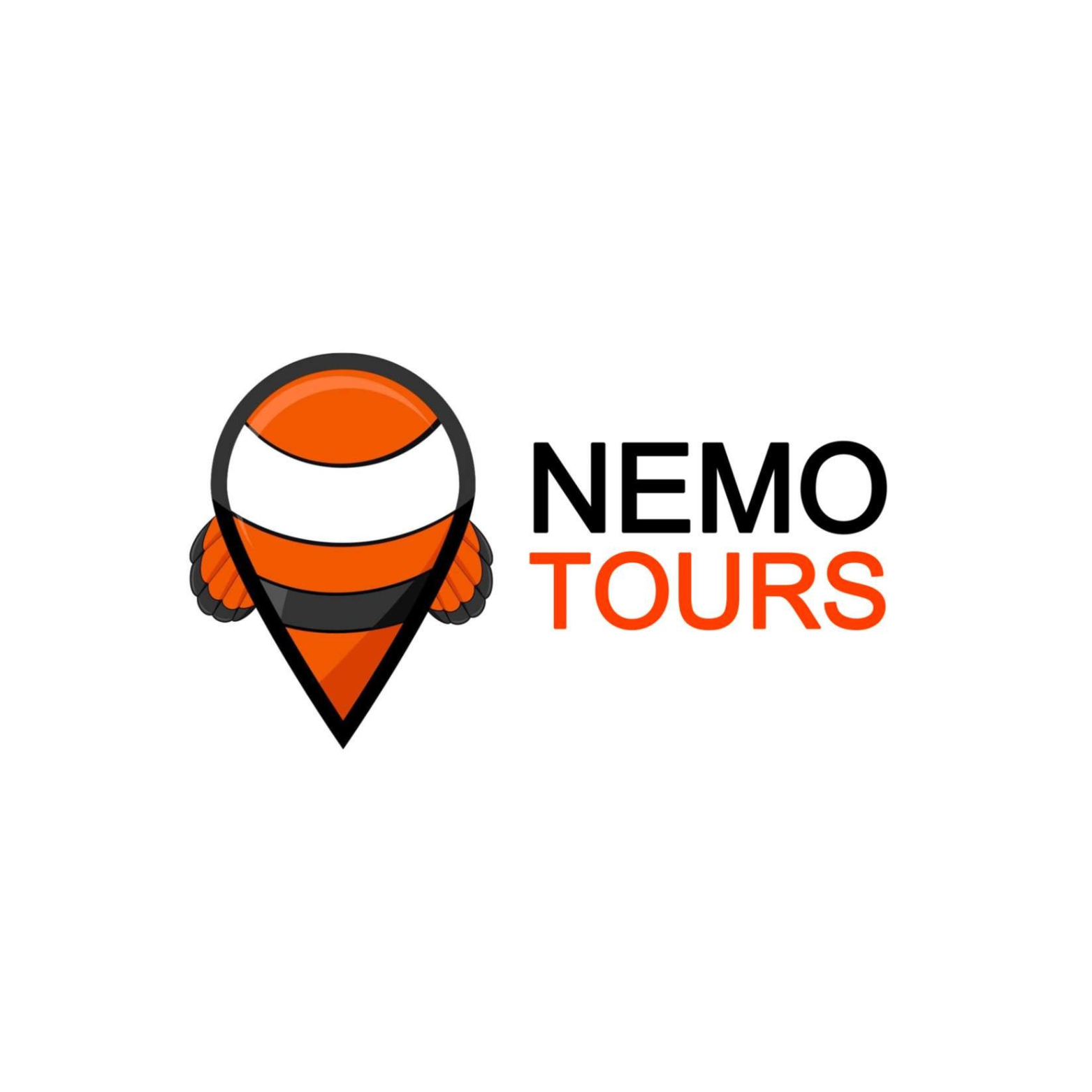 "Nemo Tours" join Voyaguids Website
