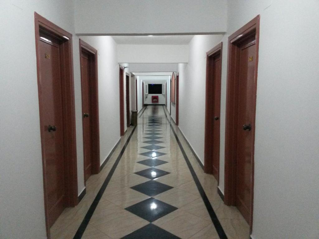 78120529
